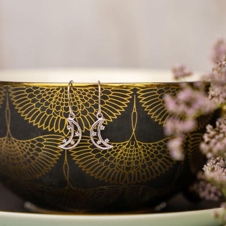 Moon and Star Silver Earrings
