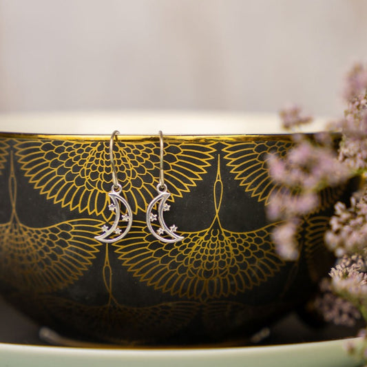 Moon and Star Silver Earrings