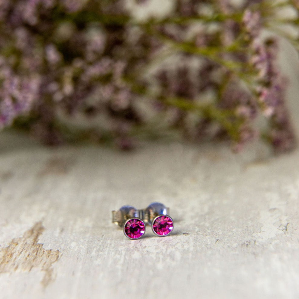 Birthstone Crystal Silver Stud Earrings