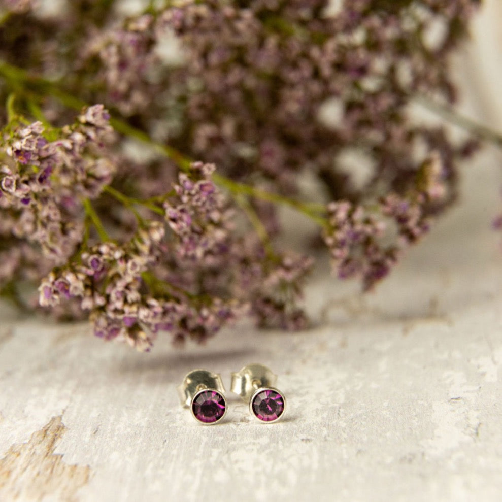 Birthstone Crystal Silver Stud Earrings