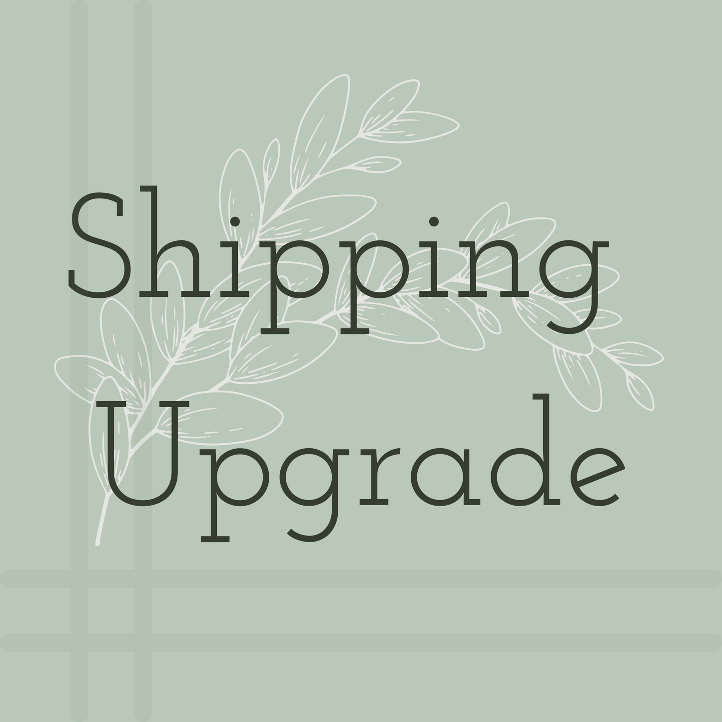 Shipping Upgrade